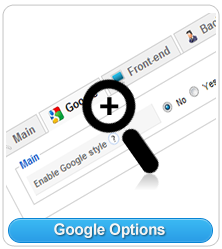 Google Options